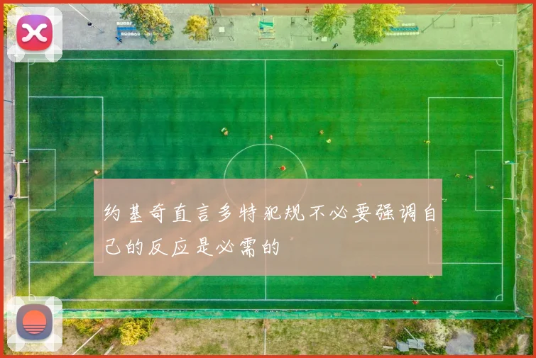 约基奇直言多特犯规不必要强调自己的反应是必需的