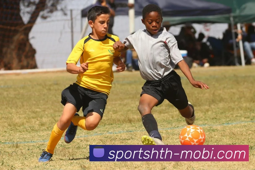 华体会体育平台生态图