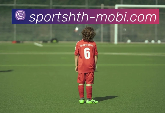 华体会体育全站App